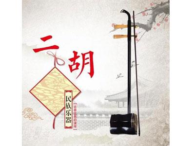 招聘广州二胡家教老师